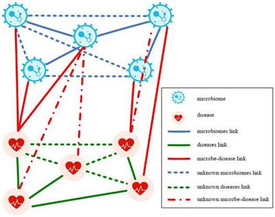 Graph neural network and multi-data heterogeneous networks for microbe-disease prediction